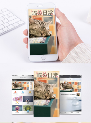 闭眼特写宠物手机海报配图模板