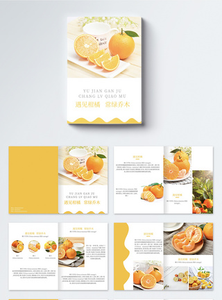 餐饮产品新鲜水果柑橘推广画册模板