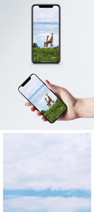 长颈鹿手机壁纸图片