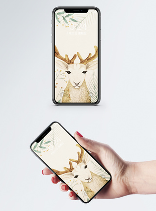 动物手机屏保图片
