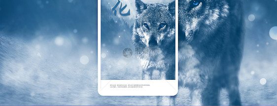 狼性文化企业文化手机海报配图图片