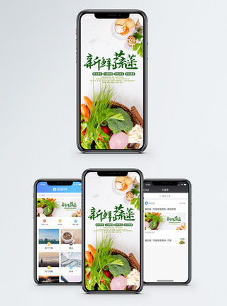 绿色食品新鲜蔬菜手机海报配图模板