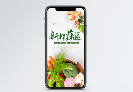 新鲜蔬菜手机海报配图图片