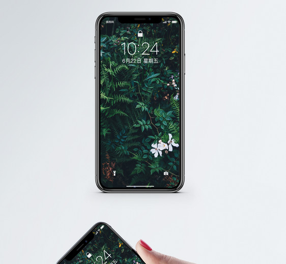 绿色植物手机壁纸图片