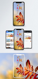 立秋手机海报配图图片