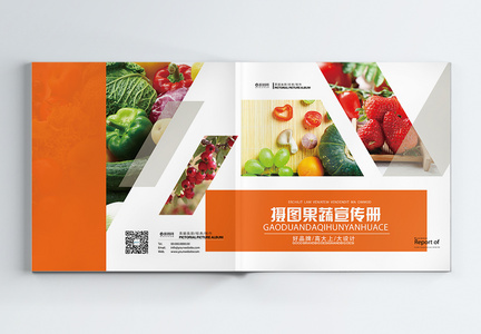新鲜果蔬食品画册整套图片