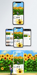 你好八月手机海报配图图片
