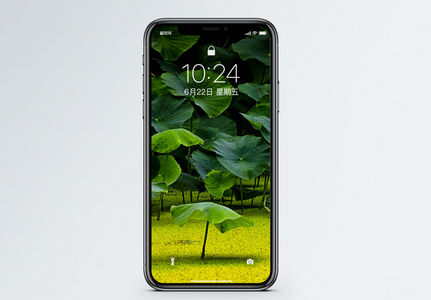 植物手机壁纸高清图片