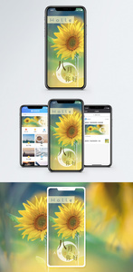 八月你好手机海报配图图片