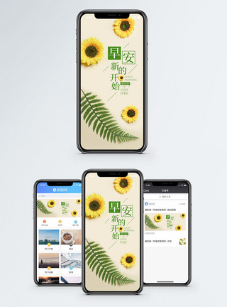菊花早安手机海报配图模板