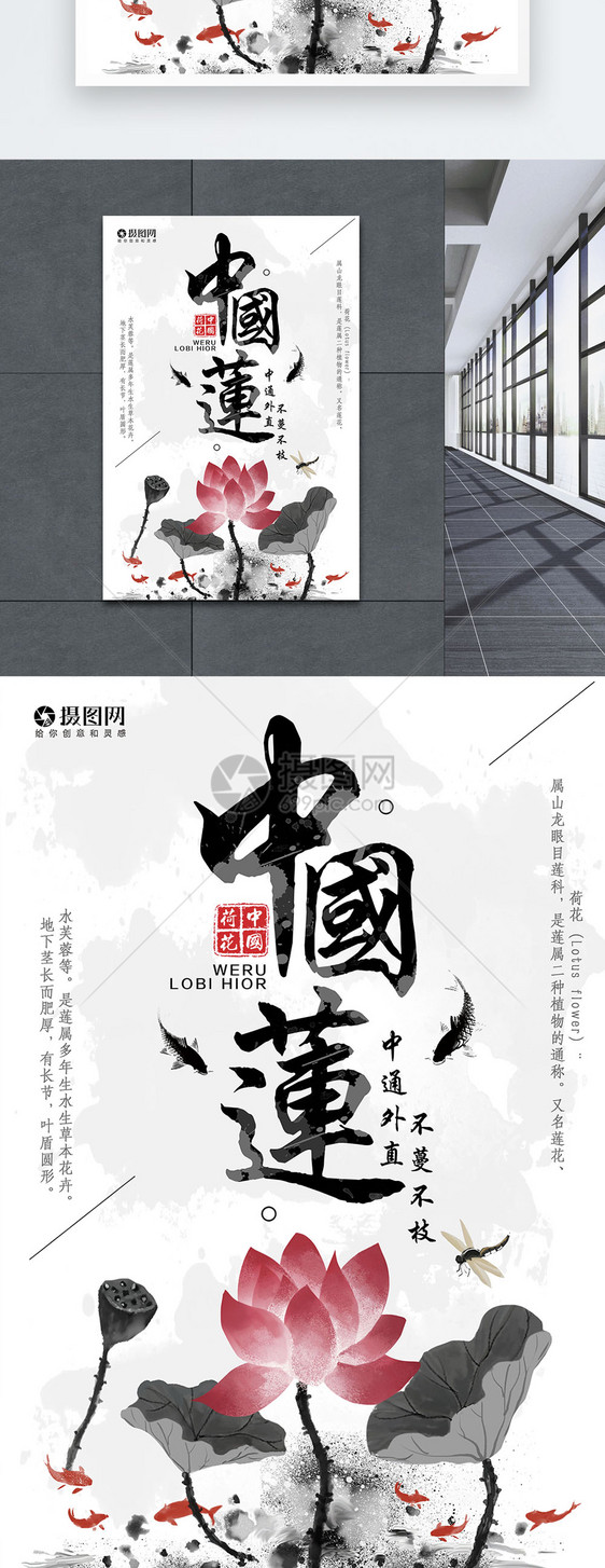 荷花中国莲海报图片