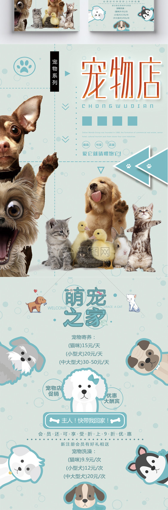 萌宠宠物店宣传单