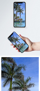 度假泳池手机壁纸图片