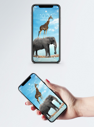 创意动物手机壁纸图片