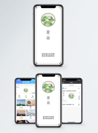 夏日荷花文艺小清新手机配图图片