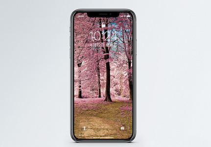 粉色樱花树手机壁纸图片