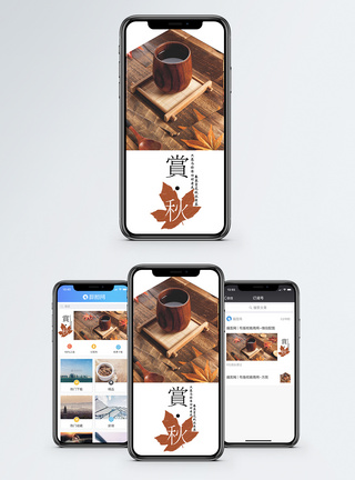 赏秋手机海报配图图片