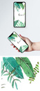 手绘植物手机壁纸图片