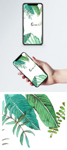 手绘植物手机壁纸图片