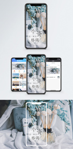 小资生活手机海报配图图片