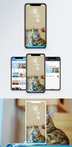 你好夏天手机海报配图图片