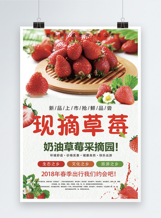 现摘草莓水果海报图片