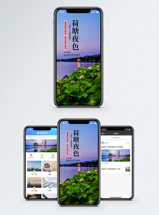 荷塘夜色手机海报配图图片