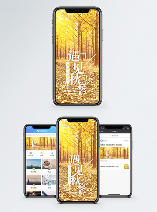 金秋遇见秋季手机海报配图模板