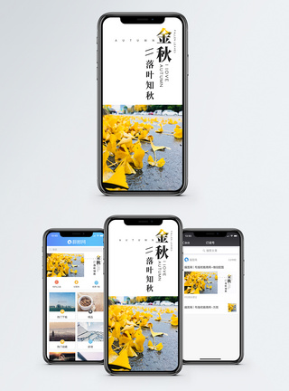 金秋落叶知秋手机海报配图图片
