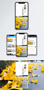 金秋落叶知秋手机海报配图图片