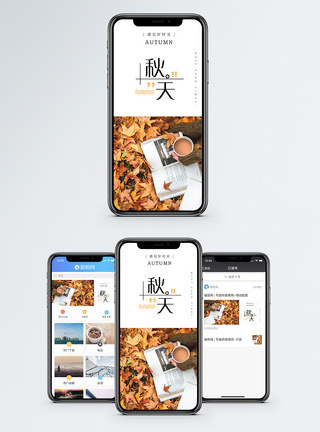 立秋秋天枫叶手机海报配图模板