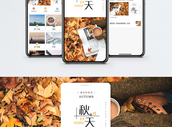 秋天枫叶手机海报配图图片