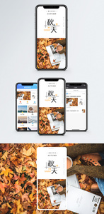 秋天枫叶手机海报配图图片