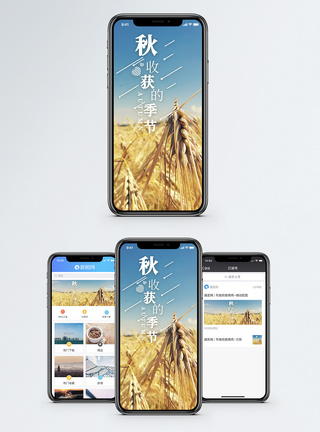 双11来了秋收获的季节手机海报配图模板