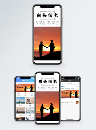 白头偕老手机海报配图模板