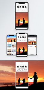 白头偕老手机海报配图图片