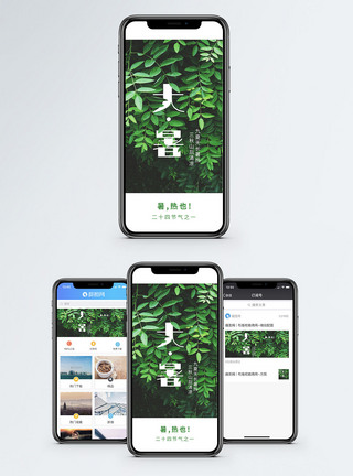 绿荫大暑手机海报配图模板