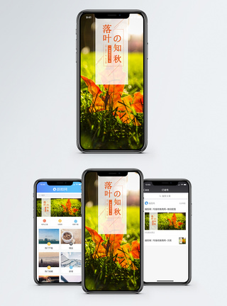 落叶知秋手机海报配图模板