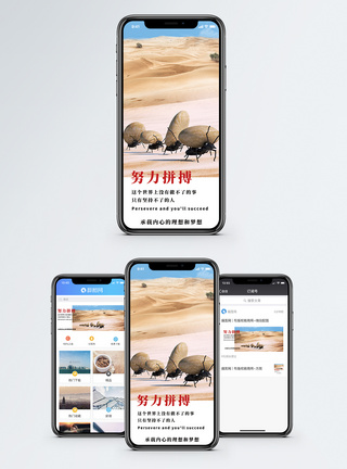 蚂蚁的力量努力拼搏手机海报配图模板