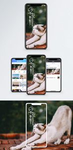 早安梦想手机海报配图图片
