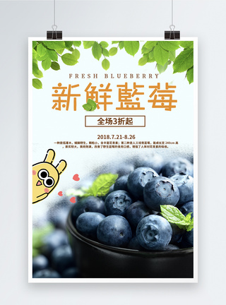 蓝莓促销海报图片