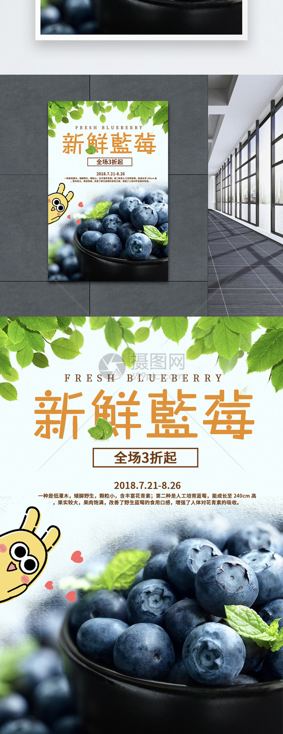 蓝莓促销海报
