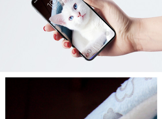 躺着的白猫手机壁纸图片