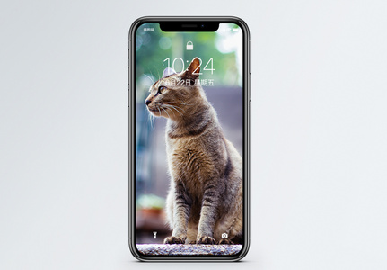 鼓浪屿的猫手机壁纸高清图片