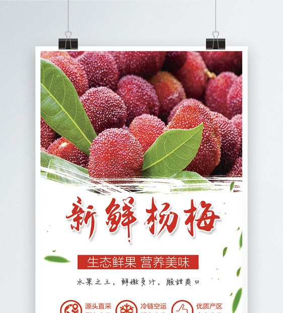 新鲜杨梅水果海报图片