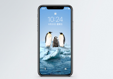企鹅手机壁纸图片