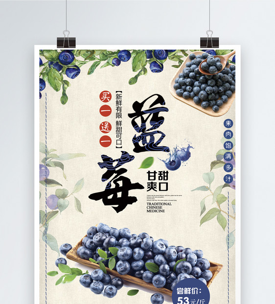 蓝莓水果促销海报