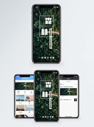 森林手机海报配图图片