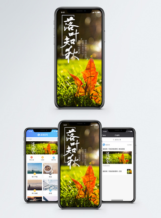 落叶知秋时尚手机海报配图图片