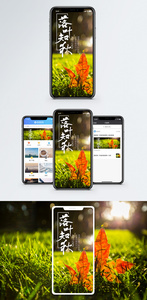 落叶知秋时尚手机海报配图图片